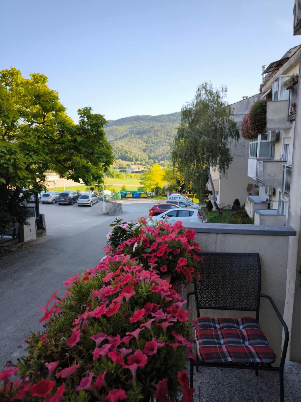 Apartman Snjeska Buzet Buitenkant foto